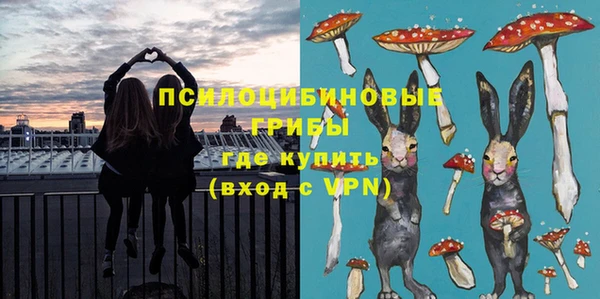 гашик Алзамай