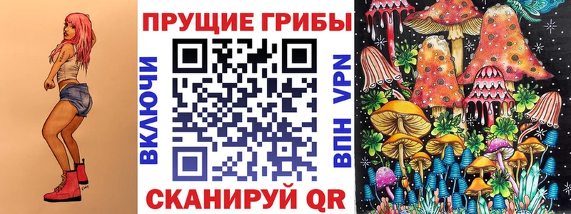 Псилоцибиновые грибы мухоморы  где продают   mega маркетплейс  Сольвычегодск 