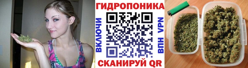 Бошки Шишки SATIVA & INDICA  где купить   ссылка на мегу как зайти  Сольвычегодск 